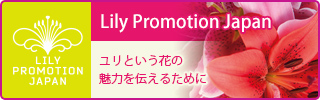 Lily Promotion Japan